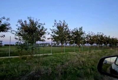 Teren de 23000 mp, în Pesac - 4