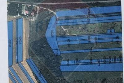Teren Construcții intravilan de 12853 mp, în Periș - 3