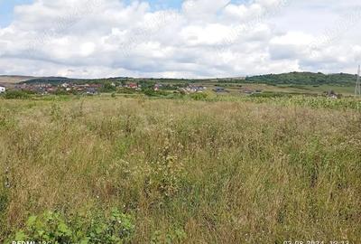 Teren de 1300 mp, în Crișeni - 1