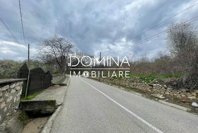 Teren Construcții intravilan de 2845 mp, în Runcu - 8