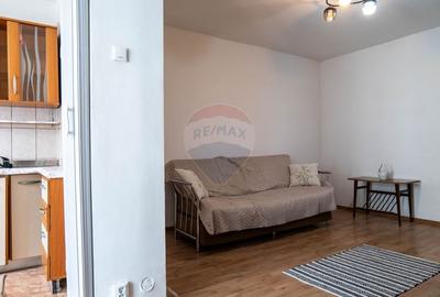 Apartament cu 1 camere semidecomandat, mobilat în Pantelimon - 3