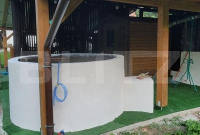 Casă cu 5 camere cu Teren 48000 Mp în Vărădia de Mureș - 1