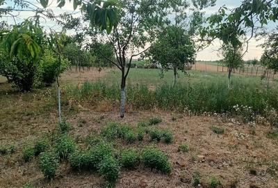 Casă cu 5 camere cu Teren 375 Mp în Central