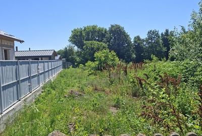 Casă cu 5 camere cu Teren 3000 Mp în Central - 4