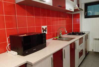 Apartament cu 2 camere, mobilat în Splaiul Unirii - 15