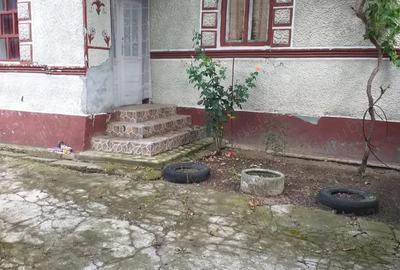 Casă cu 5 camere în Mișca