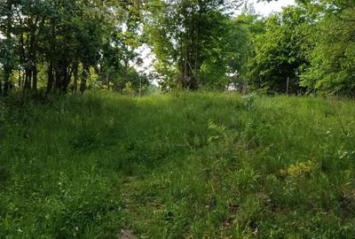 Teren de 8500 mp, în Central