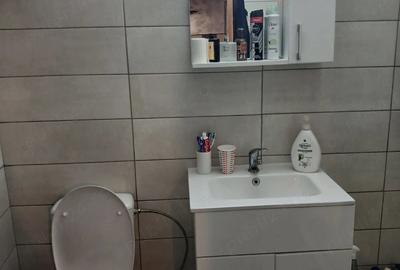 Casă cu 2 camere cu Teren 1400 Mp în Șimian - 10
