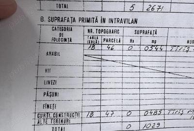 Teren în Alimănești - 1