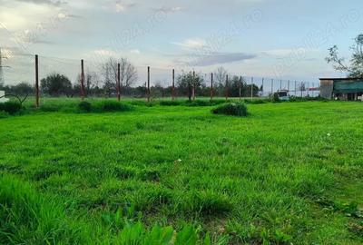 Teren de 525 mp, în Adunații-Copăceni - 2
