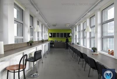 Birou, de 2,361 mp, în Păuleștii Noi - 15