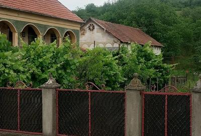 Casă cu 3 camere cu Teren 10000 Mp în Nandru - 2