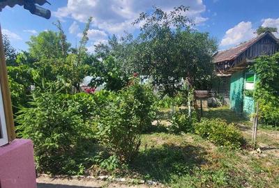 Casă cu 3 camere cu Teren 1500 Mp în Bobda - 2