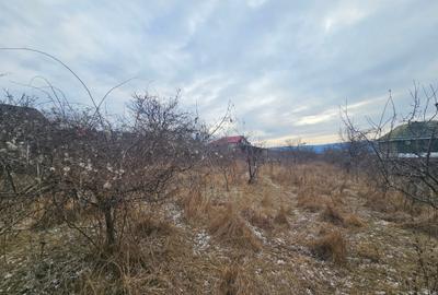 Teren intravilan de 2450 mp, în Pietrărie - 2