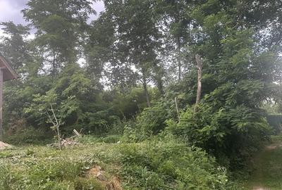 Teren de 600 mp, în Cornu