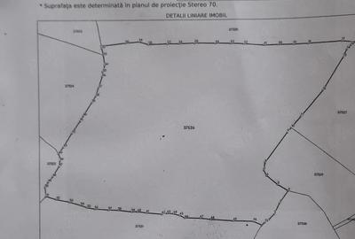 Teren de 37947 mp, în Pojorâta - 1
