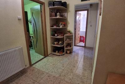 Apartament cu 2 camere decomandat în Aradul Nou