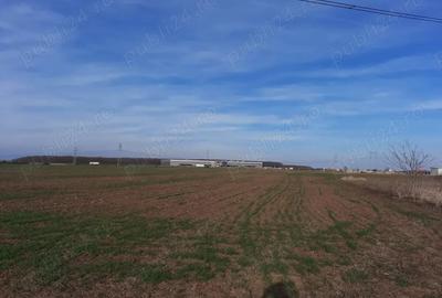 Teren de 18000 mp, în Ciorogârla