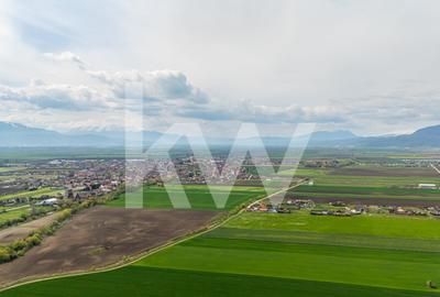 Teren Construcții intravilan de 963 mp, în Hălchiu - 13