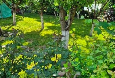 Casă individuală cu 3 camere cu Teren 969 Mp în Albina - 12