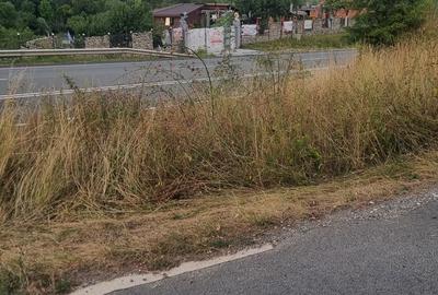 Teren de 1250 mp, în Merișor (Bănița)
