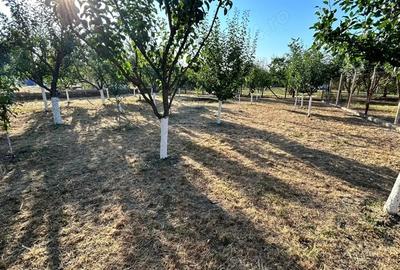 Casă cu 4 camere cu Teren 1450 Mp în Jebel