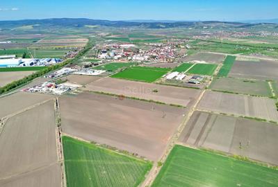 Teren Construcții intravilan de 126800 mp, în Stupini - 15
