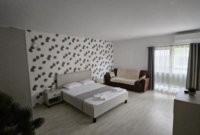 Casă cu 1 camere cu Teren 48 Mp în Mofleni - 1