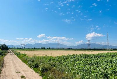 Teren agricol intravilan de 16080 mp, în Sânpetru - 7
