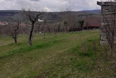 Teren de 6000 mp, în Dâmbul Rotund
