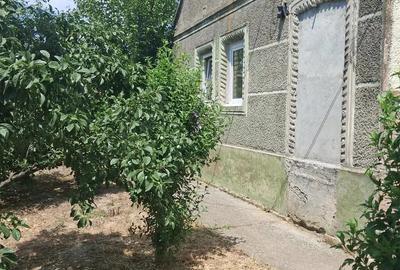 Casă cu Teren 1529 Mp în Beregsău Mare - 1