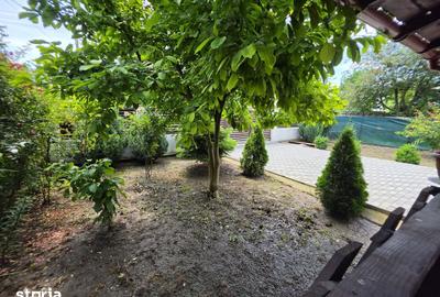 Casă cu 6 camere cu Teren 557 Mp în Berceni - 9