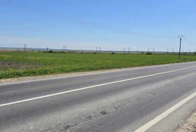 Teren extravilan de 2 mp, în Tișița - 7