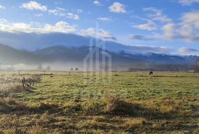 Teren agricol intravilan de 900 mp, în Porumbacu de Jos - 4