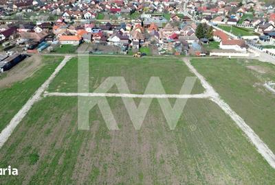 Teren de 502 mp, în Hălchiu - 3