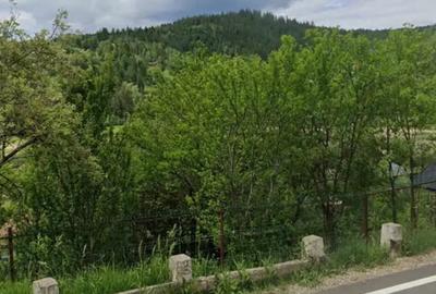 Teren de 2000 mp, în Chirițeni