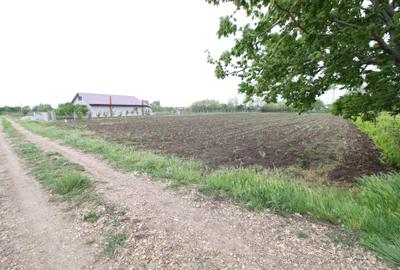Teren Construcții intravilan de 1800 mp, în Hanu Conachi - 1
