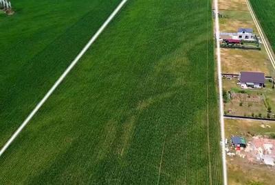 Teren agricol intravilan de 32100 mp, în Hărman - 3