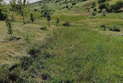 Teren de 1500 mp, în Vorovești - 2