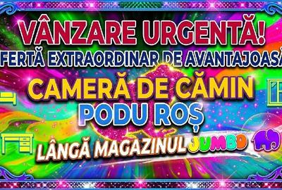 Garsonieră decomandată în Nicolina - 1