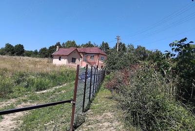Teren de 1800 mp, în Ciceu-Corabia