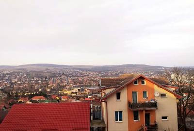 Garsonieră nedecomandată în Gruia - 6