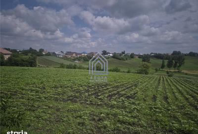 Teren de 2000 mp, în Moara