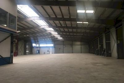 Spațiu industrial, de 3,100 mp, în Exterior Sud - 5