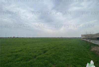 Teren Construcții intravilan de 444 mp, în Schitu - 2