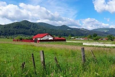 Teren de 3382 mp, în Viișoara - 3