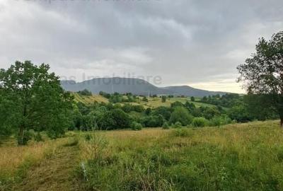 Teren de 1000 mp, în Alexandru cel Bun