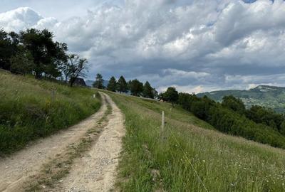 Teren Construcții extravilan de 5392 mp, în Peștera - 6