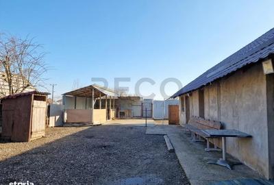 Casă cu 3 camere cu Teren 750 Mp în Bicaci - 4