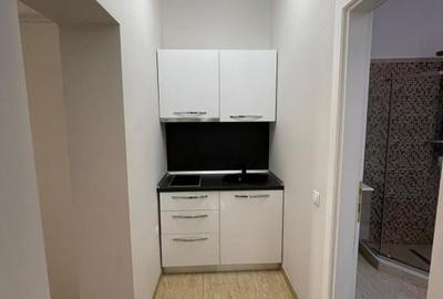 Apartament cu 8 camere decomandat în Ultracentral - 12